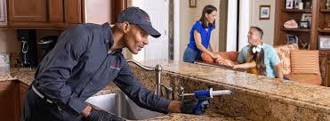 Best Real Estate Pest Inspections  in Amberley, OH